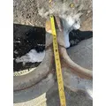 Western Star 4900SA Exhaust Pipe thumbnail 7