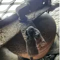 Western Star 4900 Air Tank thumbnail 2