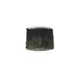 Workhorse Custom Chassis W42 ECM (Brake & ABS) thumbnail 2