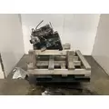 Yanmar 3TNV80 Engine Assembly thumbnail 3