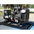 Yanmar MP22 Engine Assembly thumbnail 2