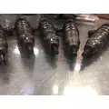 delco nremy  Fuel Injector thumbnail 3