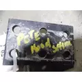   Body Parts, Misc. thumbnail 1