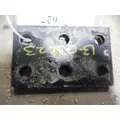   Body Parts, Misc. thumbnail 2