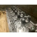   Cylinder Head thumbnail 4