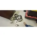   Engine Wiring Harness thumbnail 1