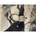   Engine Wiring Harness thumbnail 2