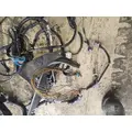   Engine Wiring Harness thumbnail 3