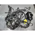   Engine Wiring Harness thumbnail 15