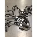   Engine Wiring Harness thumbnail 4