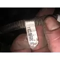   Engine Wiring Harness thumbnail 7