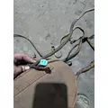   Engine Wiring Harness thumbnail 5