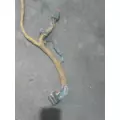   Engine Wiring Harness thumbnail 2