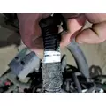   Engine Wiring Harness thumbnail 13