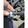   Engine Wiring Harness thumbnail 21