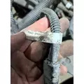   Engine Wiring Harness thumbnail 22