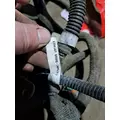   Engine Wiring Harness thumbnail 24
