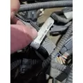   Engine Wiring Harness thumbnail 26