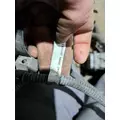   Engine Wiring Harness thumbnail 29