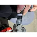   Engine Wiring Harness thumbnail 6