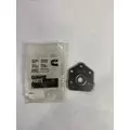   Gaskets thumbnail 1