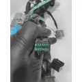   WIRING HARNESS thumbnail 33