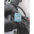   WIRING HARNESS thumbnail 39